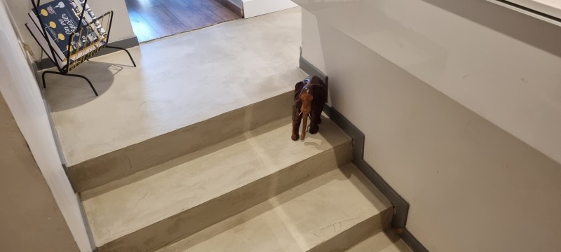 Réalisation d'un béton ciré sur la commune de Gratentour en région Occitanie