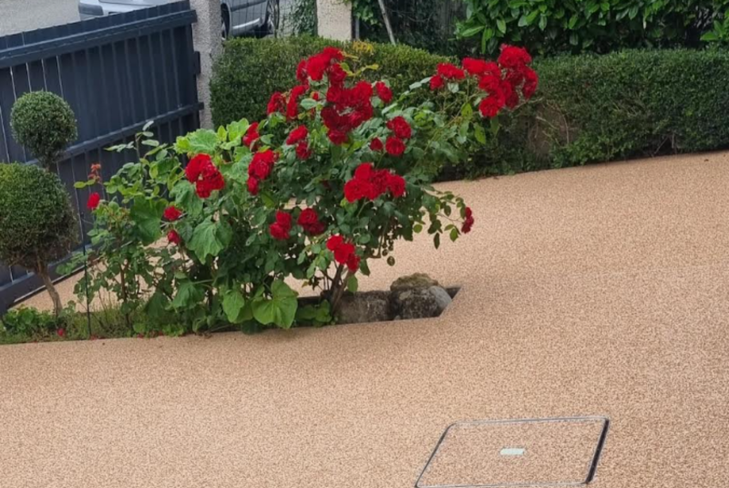 Allée carrossable avec découpes pour aménagement paysager à Saint Alban